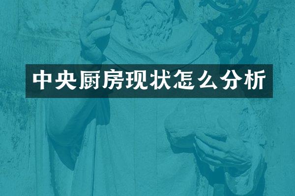 中央厨房现状怎么分析