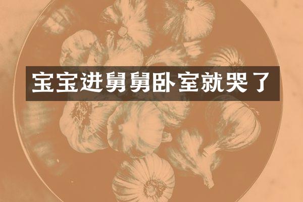 宝宝进舅舅卧室就哭了