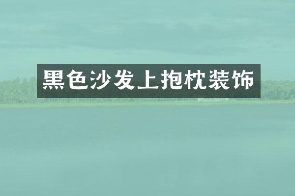 黑色沙发上抱枕装饰