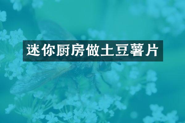 迷你厨房做土豆薯片
