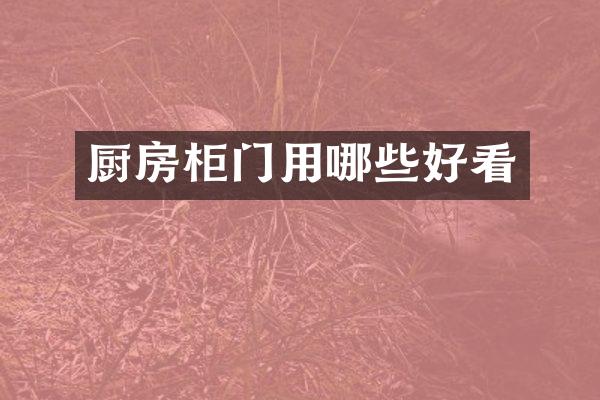 厨房柜门用哪些好看