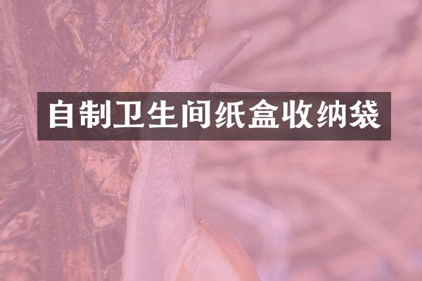 自制卫生间纸盒收纳袋