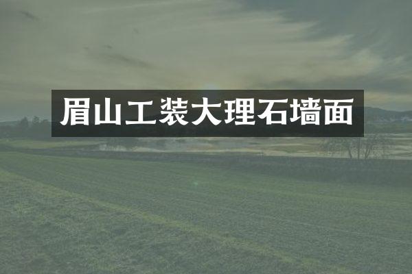 眉山工装大理石墙面