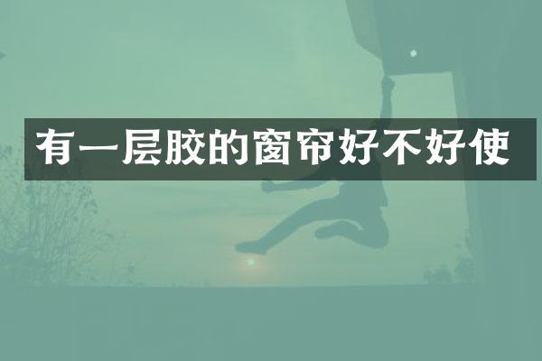 有一层胶的窗帘好不好使