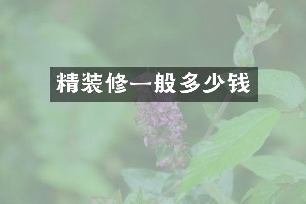 精装修一般多少钱