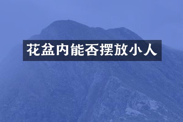 花盆内能否摆放小人