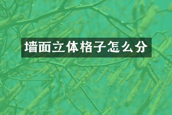 墙面立体格子怎么分