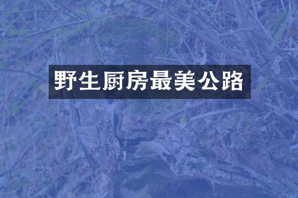 野生厨房最美公路