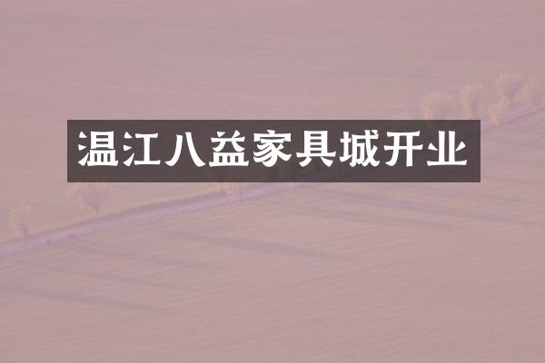 温江八益家具城开业