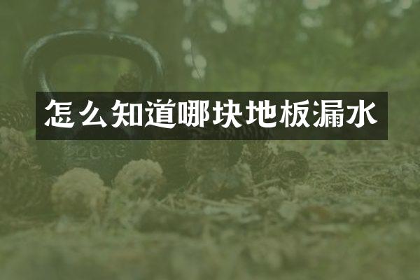 怎么知道哪块地板漏水