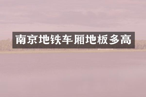 南京地铁车厢地板多高