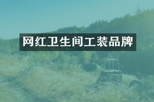 网红卫生间工装品牌