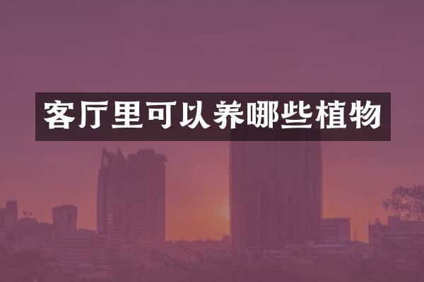 客厅里可以养哪些植物