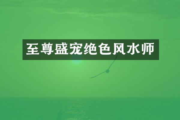 至尊盛宠绝色风水师