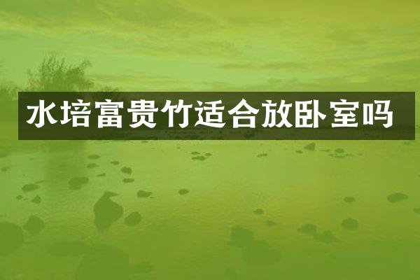 水培富贵竹适合放卧室吗