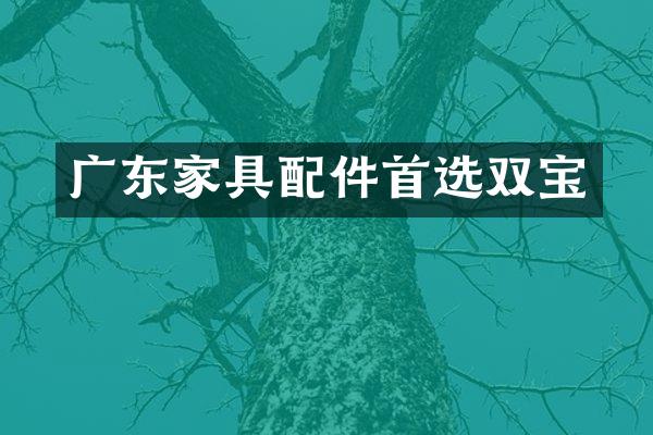 广东家具配件首选双宝