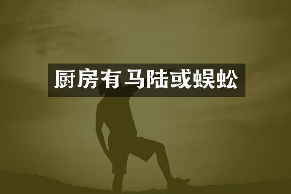 厨房有马陆或蜈蚣