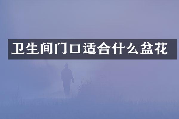 卫生间门口适合什么盆花