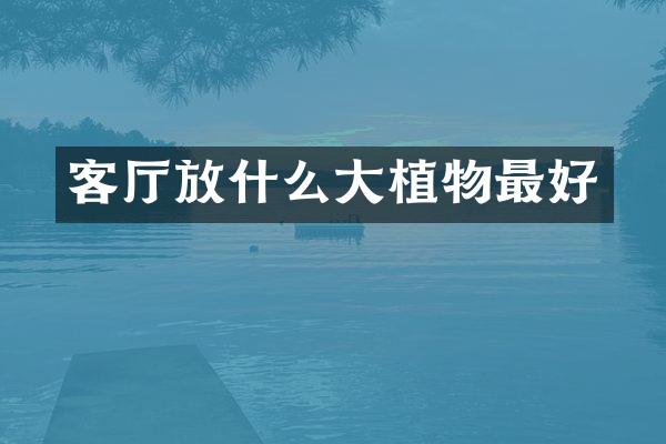 客厅放什么大植物最好