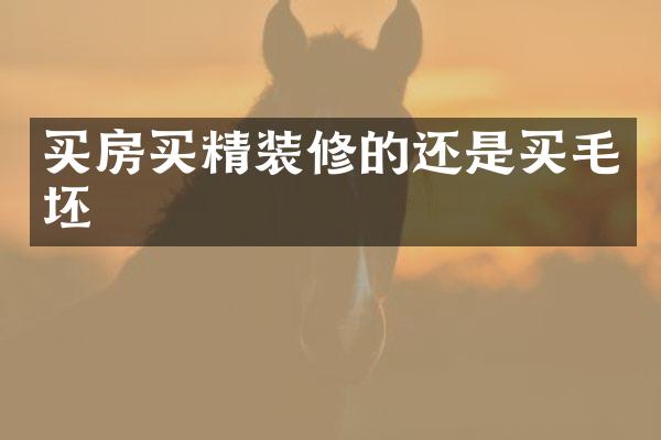 买房买精装修的还是买毛坯
