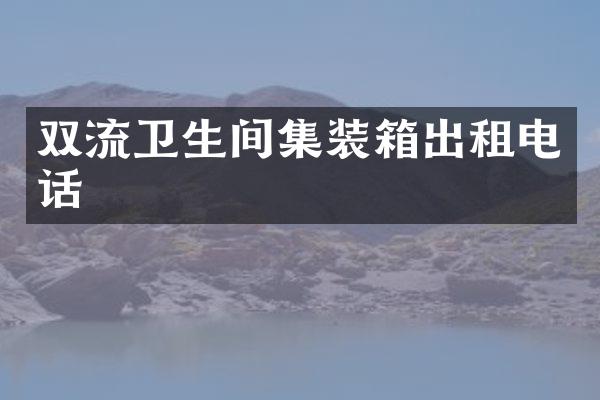 双流卫生间集装箱出租电话