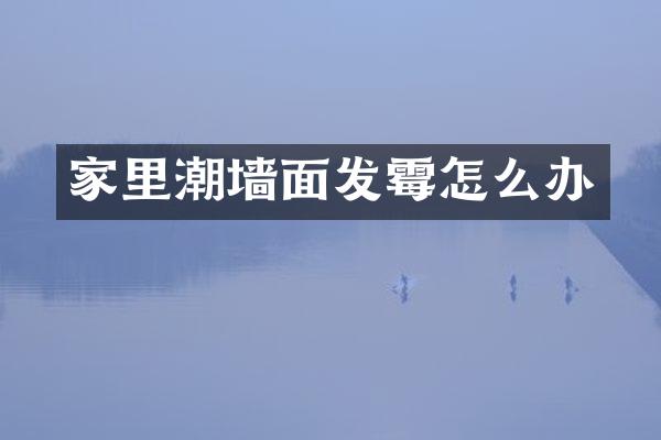 家里潮墙面发霉怎么办