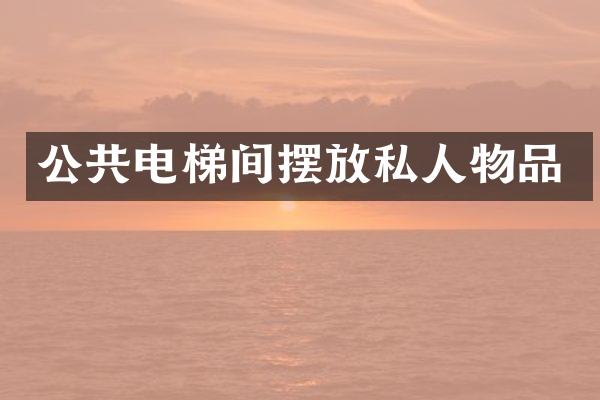 公共电梯间摆放私人物品