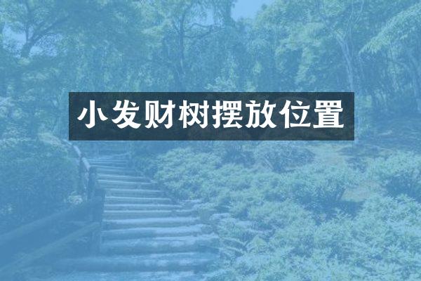 小发财树摆放位置