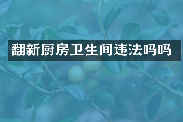 翻新厨房卫生间违法吗吗