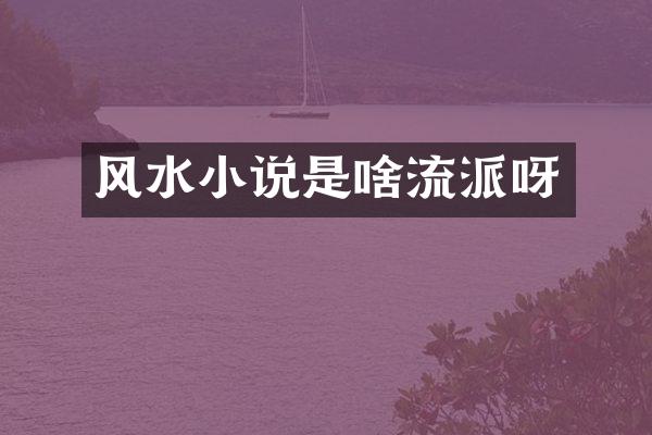 风水小说是啥流派呀