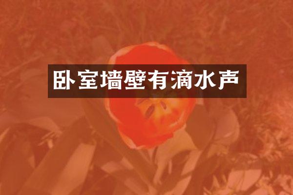 卧室墙壁有滴水声