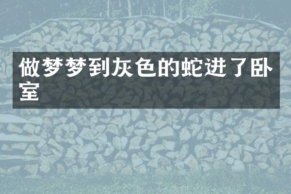 做梦梦到灰色的蛇进了卧室