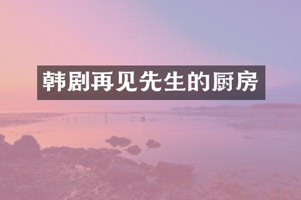 韩剧再见先生的厨房