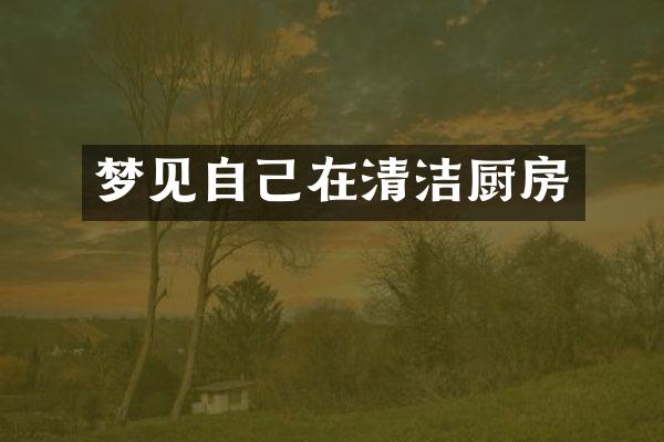 梦见自己在清洁厨房