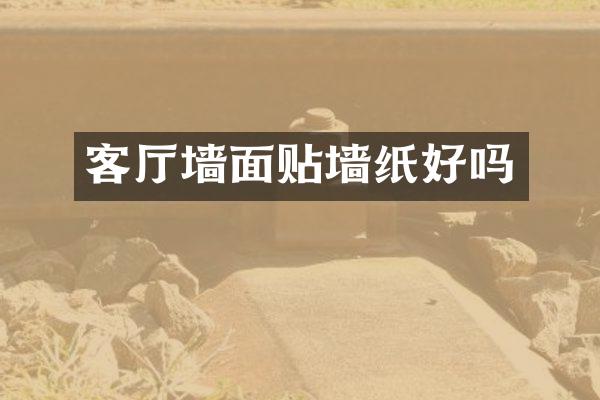 客厅墙面贴墙纸好吗