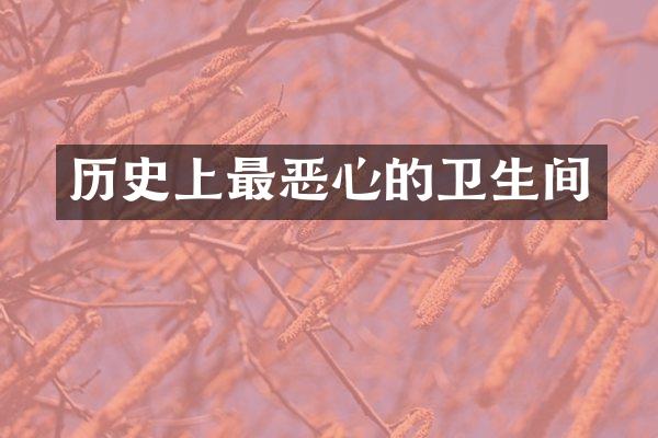 历史上最恶心的卫生间