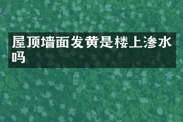 屋顶墙面发黄是楼上渗水吗