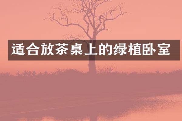 适合放茶桌上的绿植卧室