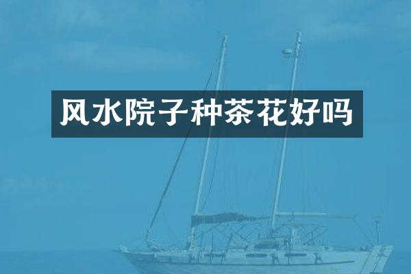 风水院子种茶花好吗