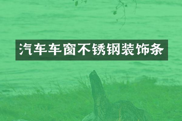 汽车车窗不锈钢装饰条