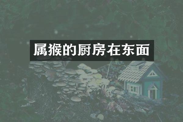 属猴的厨房在东面