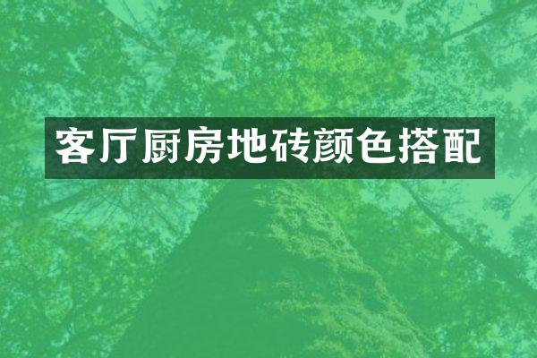 客厅厨房地砖颜色搭配