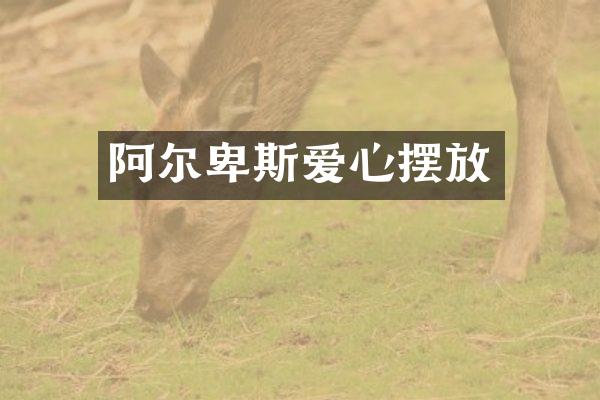 阿尔卑斯爱心摆放