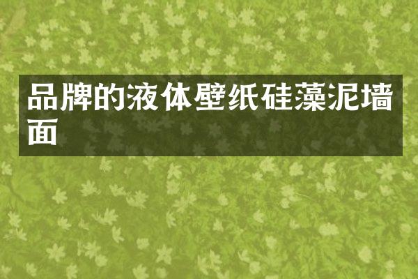 品牌的液体壁纸硅藻泥墙面