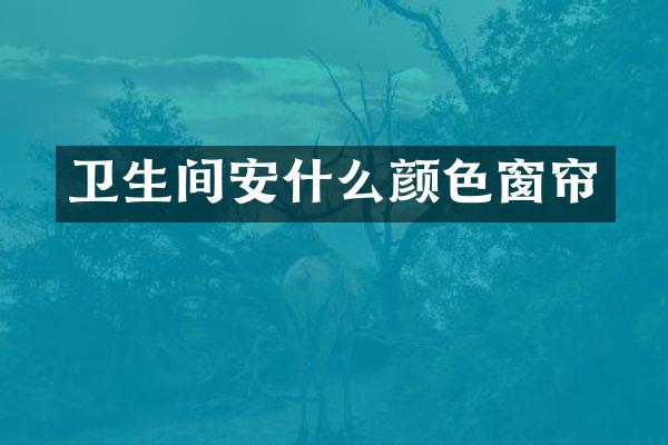 卫生间安什么颜色窗帘