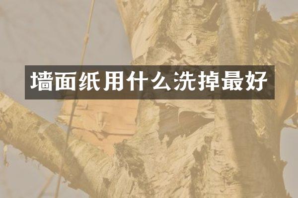 墙面纸用什么洗掉最好