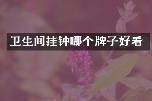卫生间挂钟哪个牌子好看