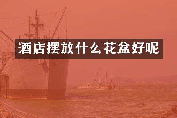 酒店摆放什么花盆好呢