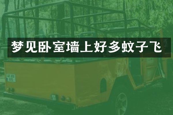 梦见卧室墙上好多蚊子飞
