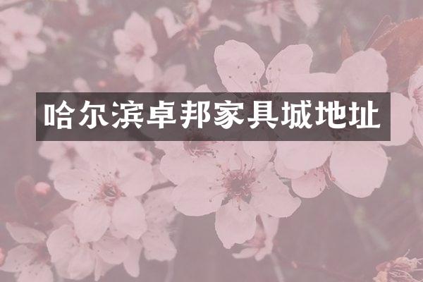 哈尔滨卓邦家具城地址